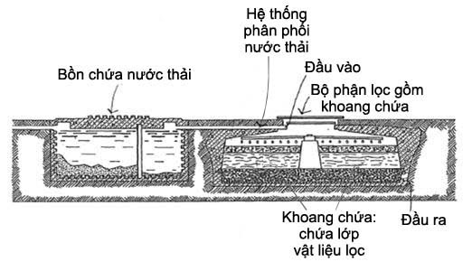 Bể lọc nước sinh học